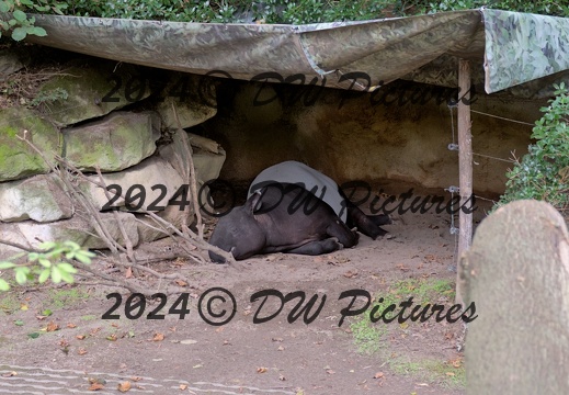 2023-09 - Diergaarde Blijdorp