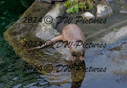 2023-12 - Diergaarde Blijdorp