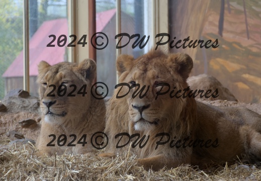 2024-01 - Diergaarde Blijdorp