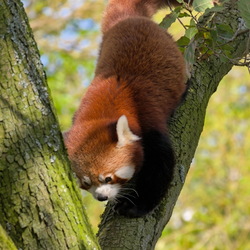 2024-04 - Diergaarde Blijdorp
