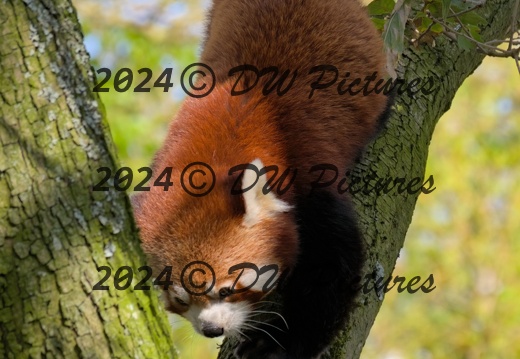 2024-04 - Diergaarde Blijdorp