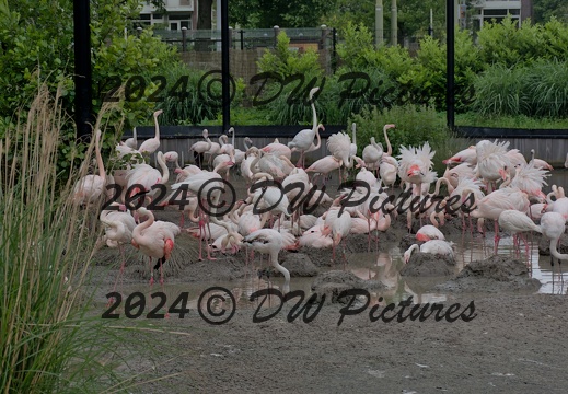 2024-05 - Diergaarde Blijdorp