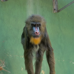 2024-08 - Zoo Antwerpen