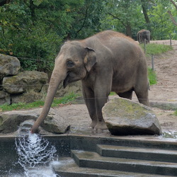 2024-09 - Diergaarde Blijdorp