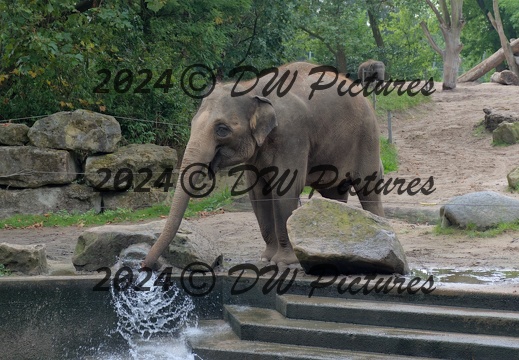 2024-09 - Diergaarde Blijdorp