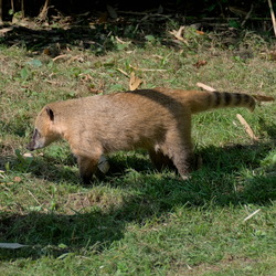 2024-09 - Dierenpark Hoenderdaell