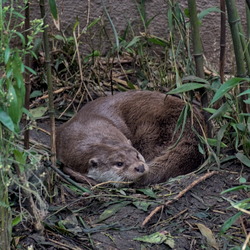 2024-11 - Diergaarde Blijdorp