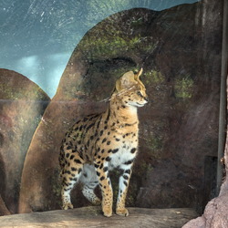 2025-01 - Diergaarde Blijdorp