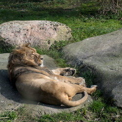 2025-03 - Diergaarde Blijdorp