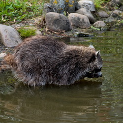 2025-07 - Diergaarde Blijdorp